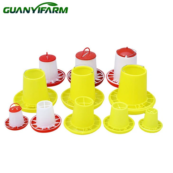 Chicken Food Plate