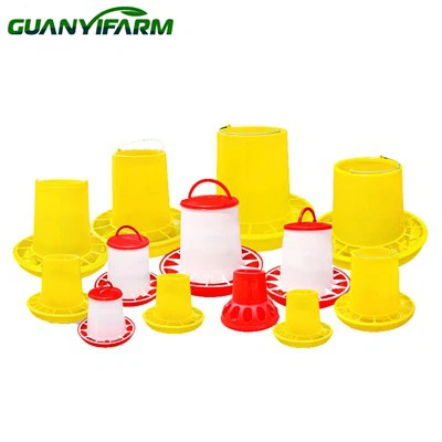 Kuracie jedlo tanier