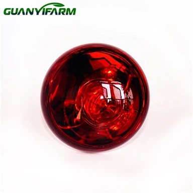 Infračervená žiarovka pre kurčatá