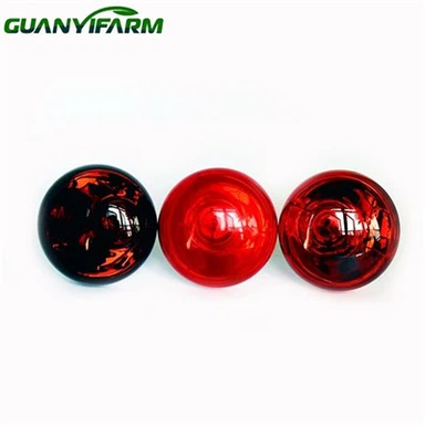 Žiarovka pre kurník