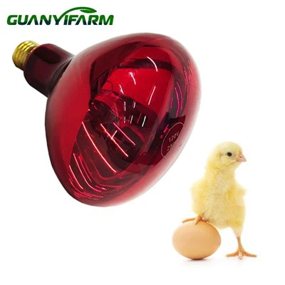 Infračervená tepelná lampa R40